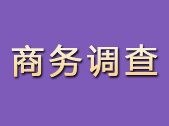 资阳区商务调查